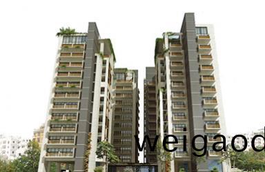 孟加拉Oriental Saleha Endura