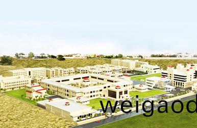 阿联酋海湾医科大学