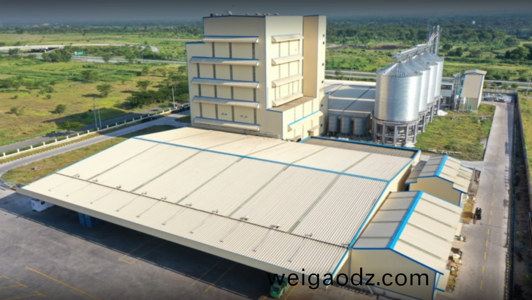 中国企业在海外设(she)立工(gong)厂，快意全力护航