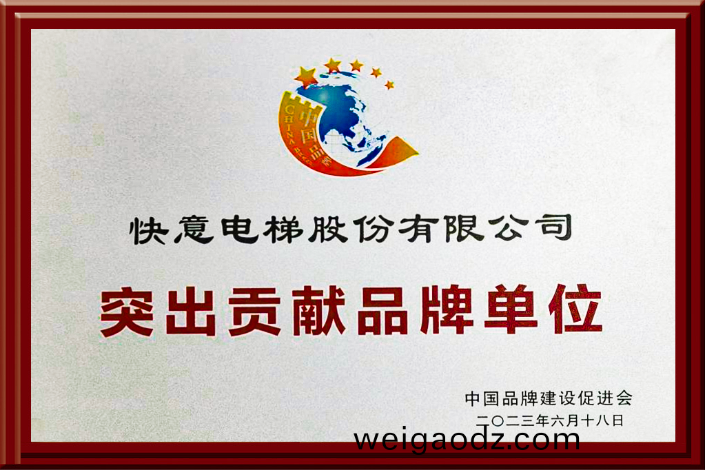 快意电(dian)梯获评“突(tu)出贡献品牌单位”，树立(li)中国品牌标杆力量