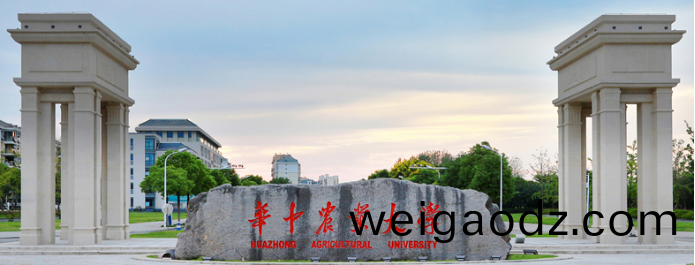 快意携手(shou)“211”“双一流”名校，智造美好校(xiao)园(yuan)新标杆